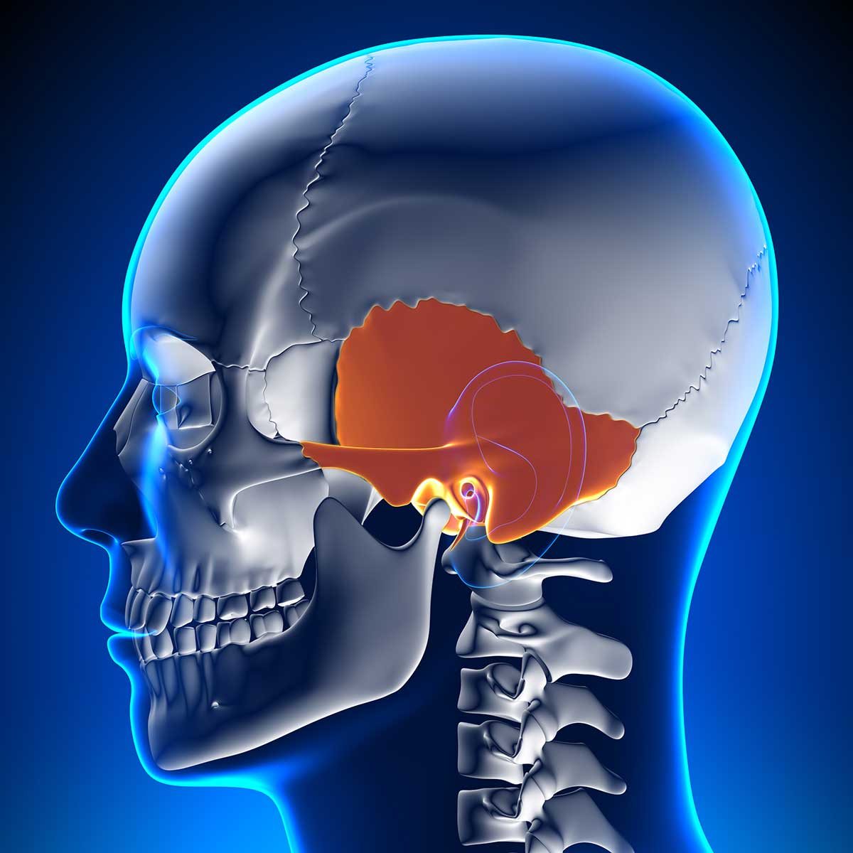 cranial techniques