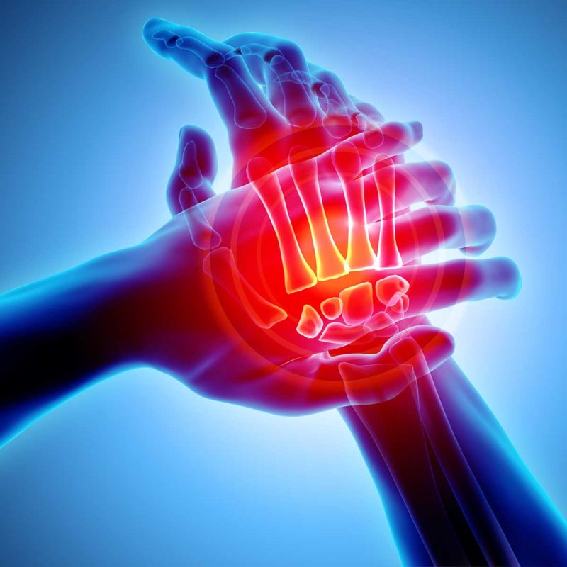 Palpation: Developing Sensitive Hands - BayGrass Institute