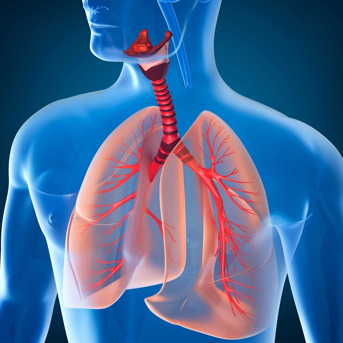 respiratory system disorders